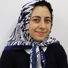 Dr Elaheh Mostaani