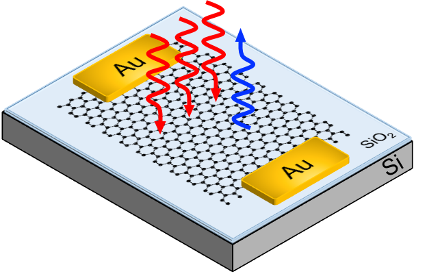 Electrical control of third harmonic generation (THG) can be obtained in single-layer graphene. In THG three low-frequency photons (red) sum up to generate one high-frequency (blue) photon. Credit: Giancarlo Soavi, University of Cambridge. Tunable third harmonic generation in graphene paves the way to high-speed communications